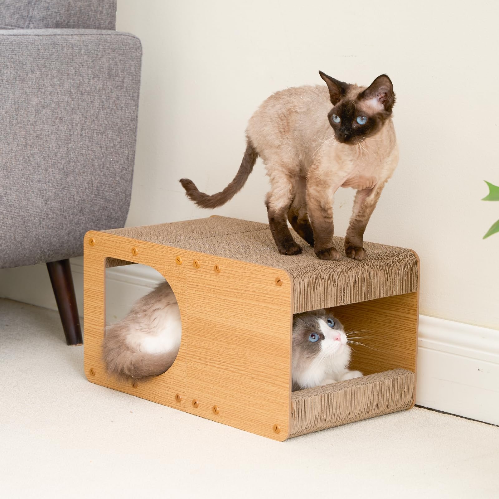 Cat house and scratcher