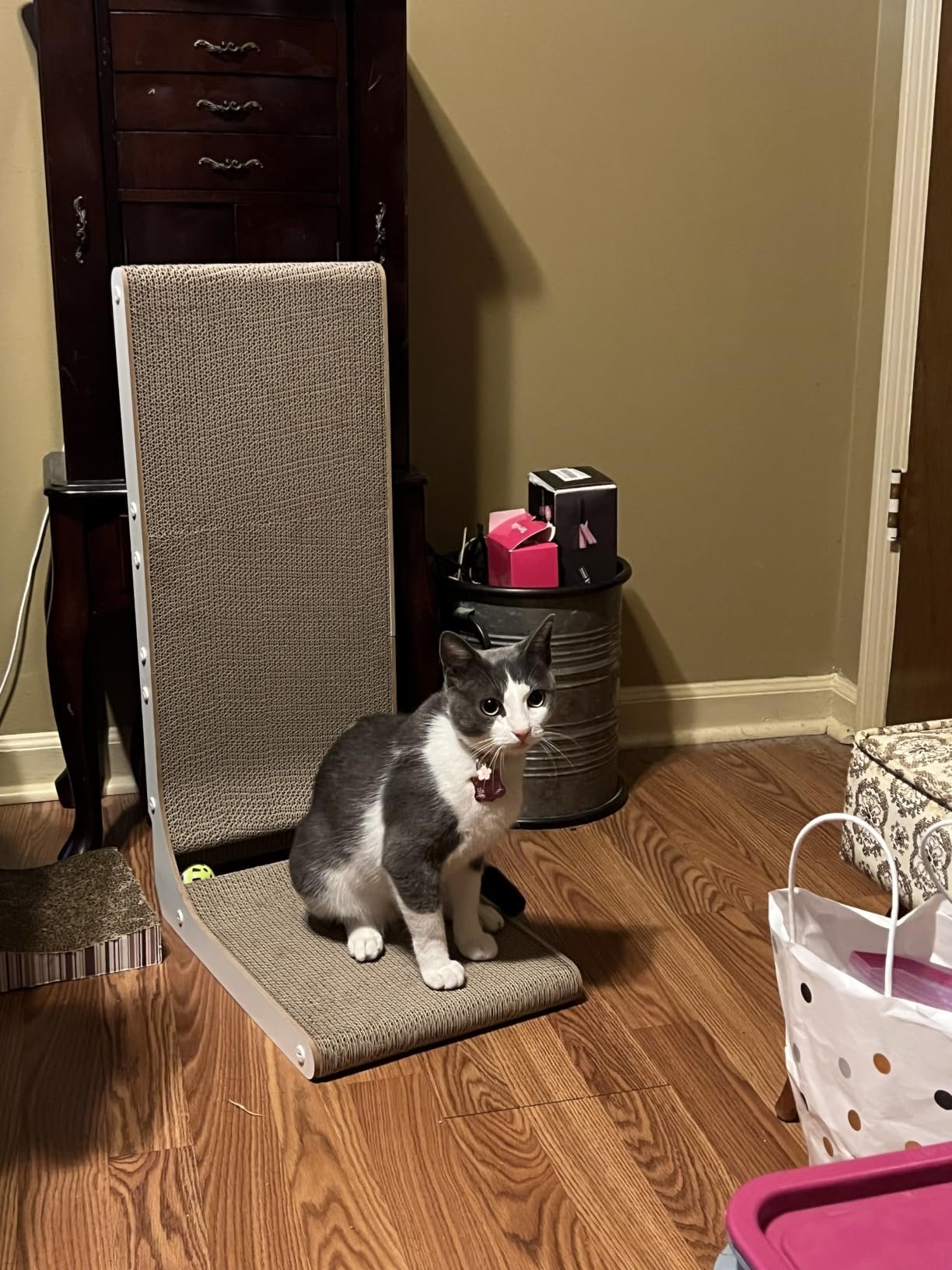 Customer cat using a scratcher at home
