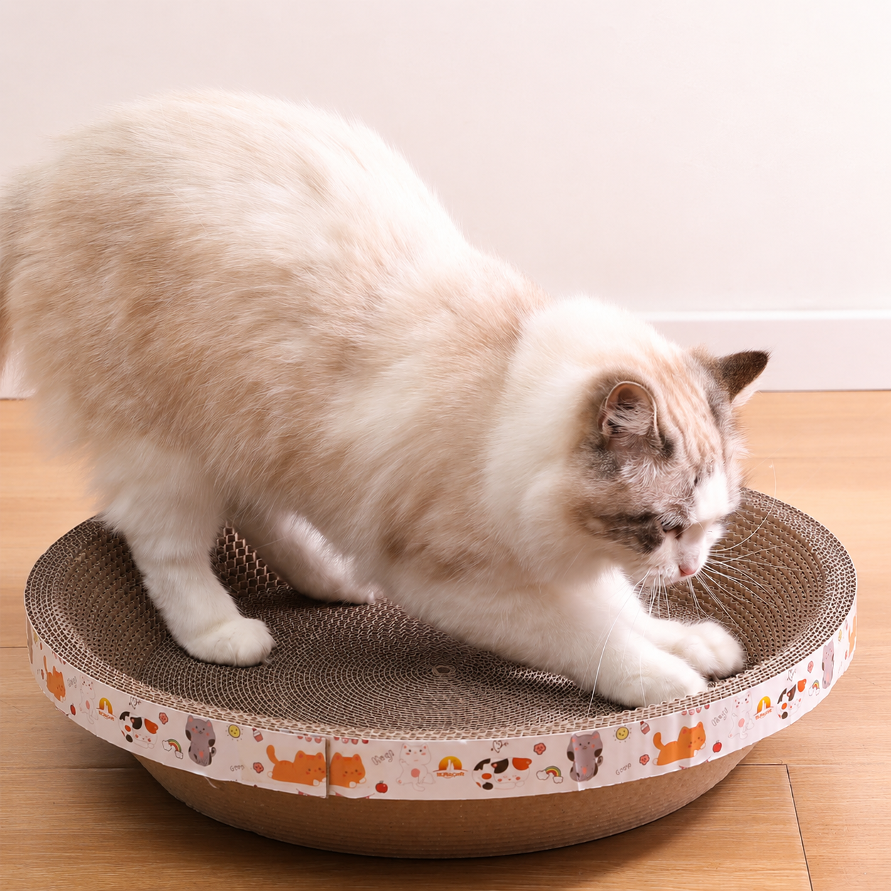 Cat using KMS001 bowl-shaped cardboard scratcher