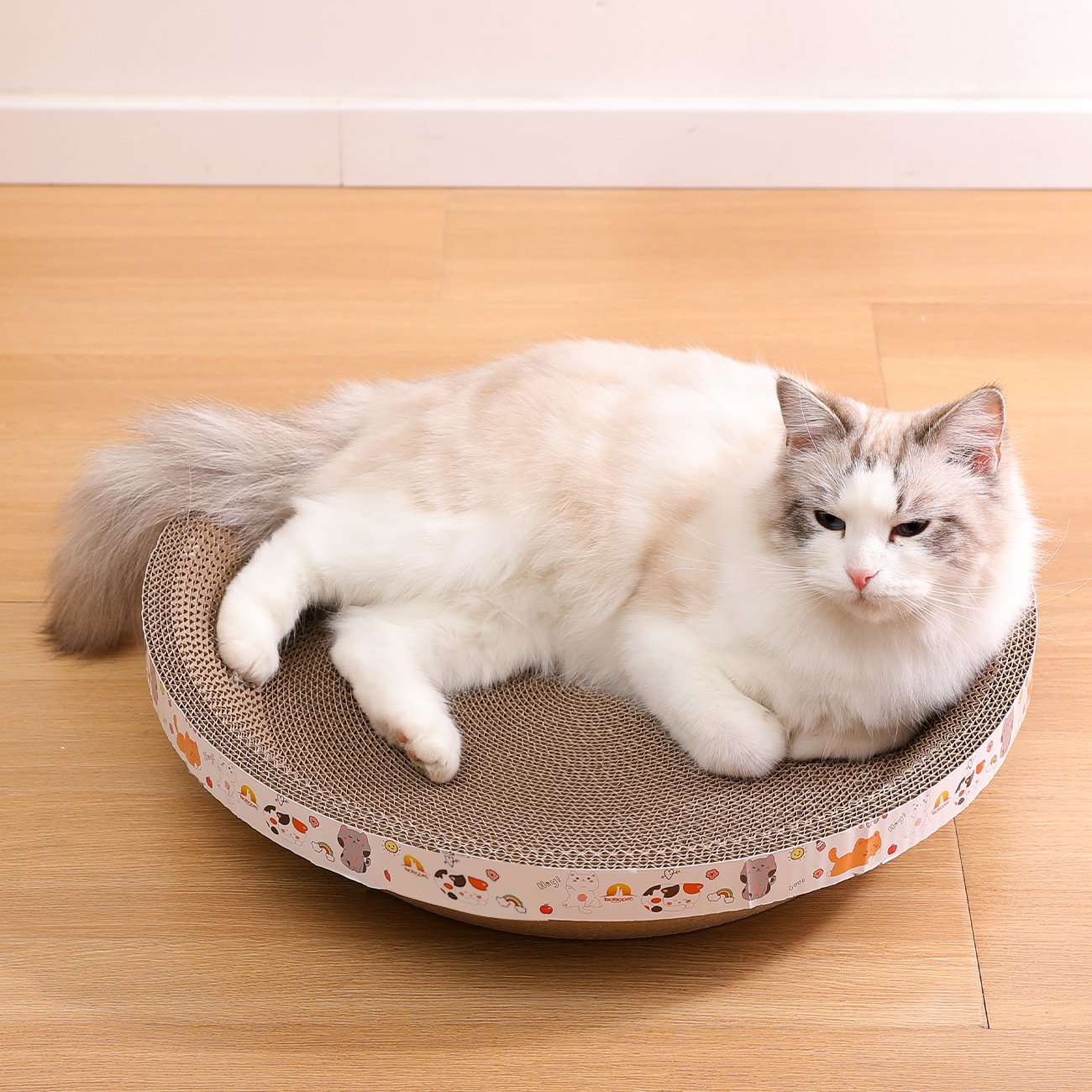 Cat lounging in KMS001 scratching board