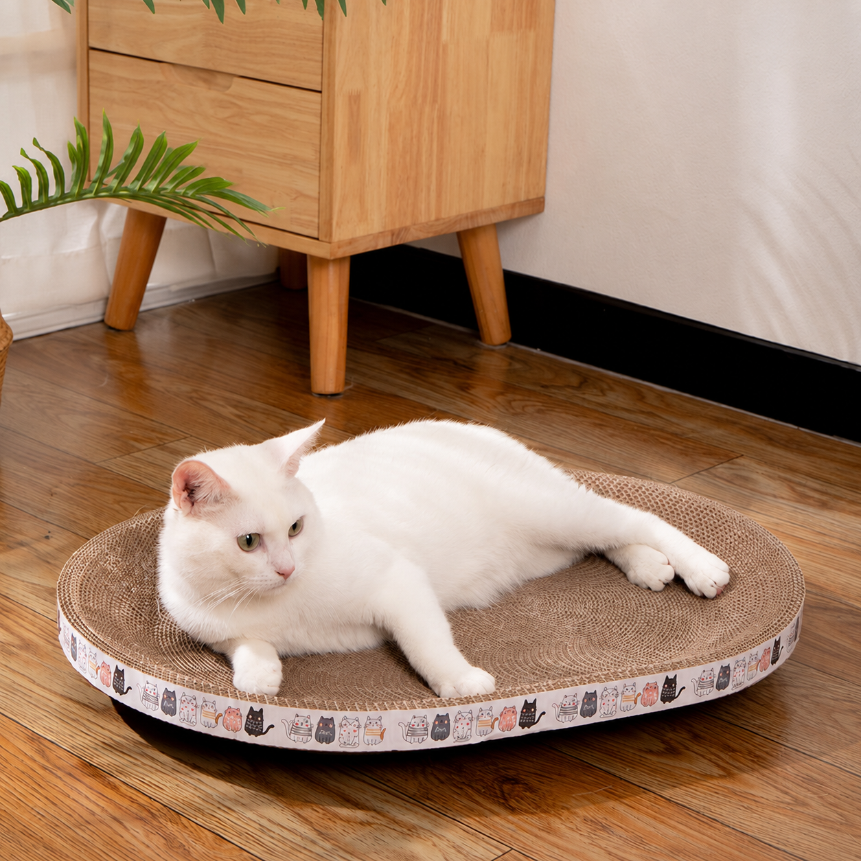 Oval Cat Scratching Bowl KMSZ005 view 4