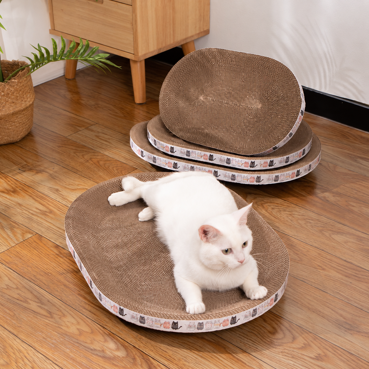 Oval Cat Scratching Bowl KMSZ005 view 3